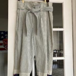 Madewell Paperbag style waist  Pants 10